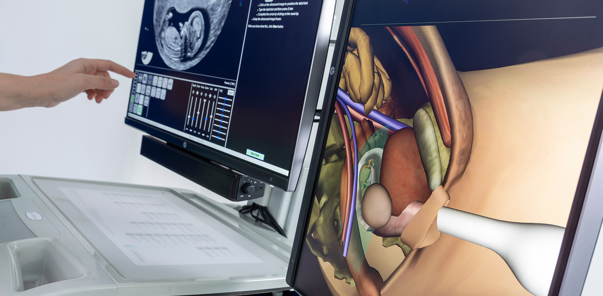 ScanTrainer transvaginal module in use