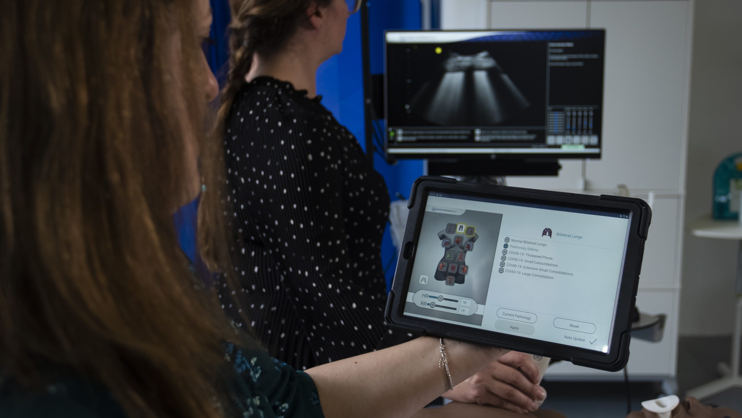 Ultrasound Simulator, Healthcare Simulation